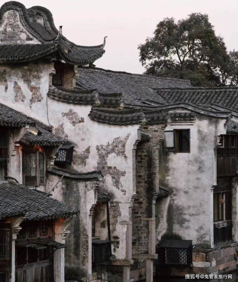 植物大战僵尸