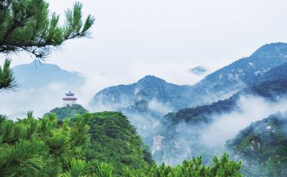全民剧本大师内置菜单